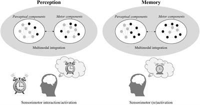 Low-Resolution Neurocognitive Aging and Cognition: An Embodied Perspective